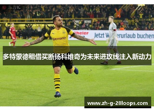 多特蒙德租借买断扬科维奇为未来进攻线注入新动力